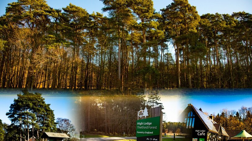 Go Wild Thetford Camping in Norfolk