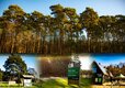 Go Wild Thetford Camping in Norfolk