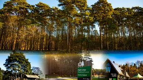 Go Wild Thetford Camping in Norfolk