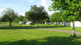 Picture of Phippins Farm Caravan Club C L, Somerset, South West England - Nice landscape surrounding the site