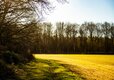 21-IMG_7817