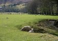 Caravan park in North Wales