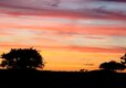 Adam Henson's Cotswold Farm Park Cheltenham, Gloucestershire
