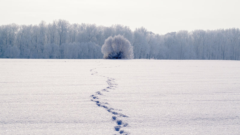 The Devil's Footprints - Old English folklore stories