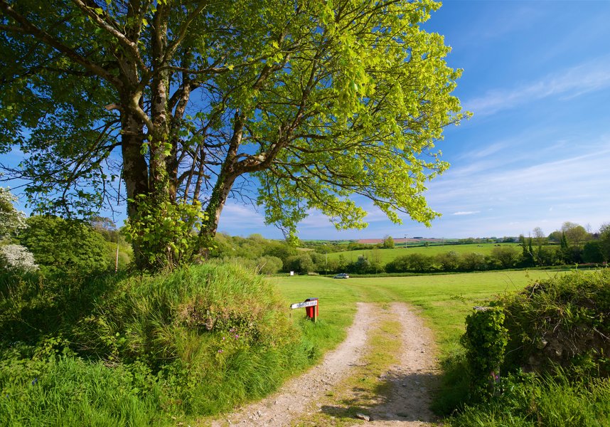 Meadow Lakes, St Austell, Cornwall