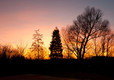 Beautiful sunset