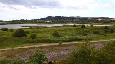 Conwy Nature Reserve  (© © Copyright Steve Daniels (https://www.geograph.org.uk/profile/35305) and licensed for reuse (http://www.geograph.org.uk/reuse.php?id=2142383) under this Creative Commons Licence (https://creativecommons.org/licenses/by-sa/2.0/).)