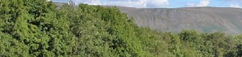 Picture of Cove Caravan & Camping Park, Cumbria