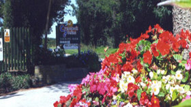 Picture of Crantock Plains Touring Park, Cornwall, South West England