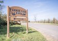 Tanner Farm (9)