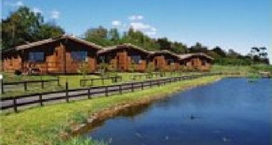 Sherwood Castle Holiday Forest, Newark, Nottinghamshire