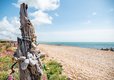 Holiday in East Sussex