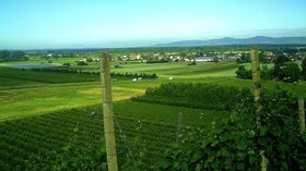 In the Vosges region: Panorama - Rhine Valley Kaiserstuhl (© pictures Jettcom [CC BY 3.0 (http://creativecommons.org/licenses/by/3.0)], via Wikimedia Commons (original photo: https://commons.wikimedia.org/wiki/File:Panorama_-_Rhine_Valley_Kaiserstuhl_-_panoramio.jpg))