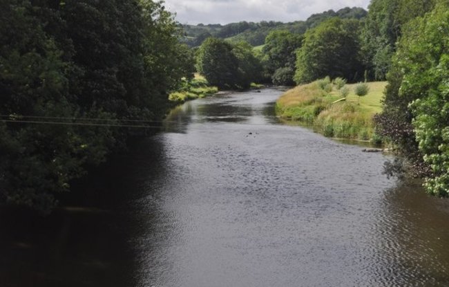 Umberleigh - The River Taw  (© © Copyright Lewis Clarke (https://www.geograph.org.uk/profile/11775) and licensed for reuse (https://www.geograph.org.uk/reuse.php?id=3594342) under this Creative Commons Licence (https://creativecommons.org/licenses/by-sa/2.0/).)