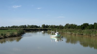 Between Loire river and Canal, e la Martinière, near Paimbœuf, département de la Loire-Atlantique, France - panorama (© Maarten Sepp [CC BY-SA 3.0 (http://creativecommons.org/licenses/by-sa/3.0)], via Wikimedia Commons (original photo: https://commons.wikimedia.org/wiki/File:Between_Loire_river_and_Canal_de_la_Martini%C3%A8re,_near_Paimb%C5%93uf,_d%C3%A9partement_de_la_Loire-Atlantique,_France._-_panoramio.jpg))