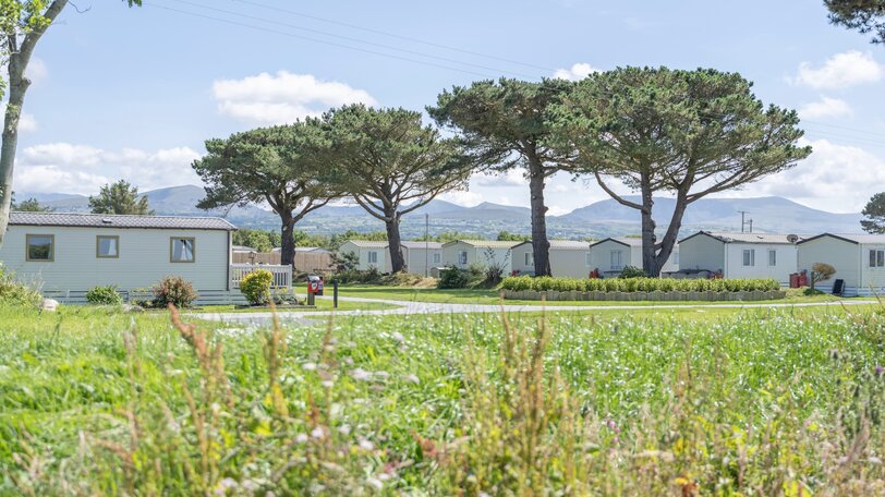 Morfa Lodge Caravan Park, Gwynedd, Wales - Morfa Lodge’s enviable location is popular with wildlife visitors too! The park overlooks Y Foryd nature reserve, a tidal lagoon which is an important feeding habitat for both native and migratory birds.