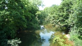 The River Teme (Little Hereford)  (© © Copyright Fabian Musto (https://www.geograph.org.uk/profile/125723) and licensed for reuse (https://www.geograph.org.uk/reuse.php?id=5849745) under this Creative Commons Licence (https://creativecommons.org/licenses/by-sa/2.0/).)