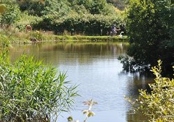 trethiggey3