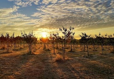 Harrow Wood Farm Caravan Park Christchurch, Dorset - Harrow Wood Farm Caravan Park
Christchurch, Dorset Harrow Wood Farm Caravan Park Christchurch, Dorset - Harrow Wood Farm Caravan Park
Christchurch, Dorset