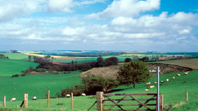 Picture of Holivans, Lincolnshire