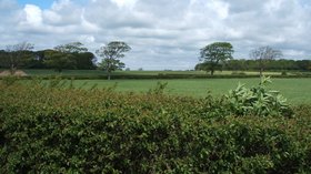 View across Mile Rd near the caravan park (© Stephen Moore / View across Mile Rd. (original photo: https://commons.wikimedia.org/wiki/File:View_across_Mile_Rd._-_geograph.org.uk_-_426573.jpg))
