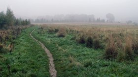Londonthorpe Wood near Grantham (© Acabashi [CC BY-SA 4.0 (https://creativecommons.org/licenses/by-sa/4.0)], from Wikimedia Commons (original photo: https://commons.wikimedia.org/wiki/File:Londonthorpe_Wood_in_2005,_near_Grantham,_Lincolnshire,_England_03.jpg))