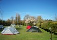 Camping at Hawthorn