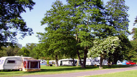 Picture of Morn Hill Caravan Club Site, Hampshire, South East England