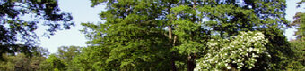 Picture of Morn Hill Caravan Club Site, Hampshire, South East England
