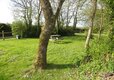 Little Trevothan - Dog Walk 1