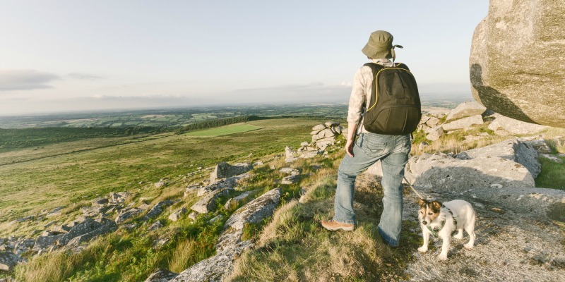 Dog-friendly Cornwall holidays - Dog walking on Bodmin Moor