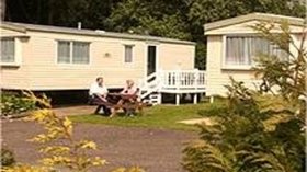 Our holiday homes on the site