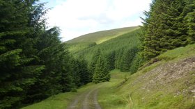 Now in the Scottish Borders (© By Andrew Bowden from London, United Kingdon (Now in the Scottish Borders  Uploaded by heronglen) [CC BY-SA 2.0 (https://creativecommons.org/licenses/by-sa/2.0)], via Wikimedia Commons (original photo: https://commons.wikimedia.org/wiki/File:Now_in_the_Scottish_Borders_(6743126291).jpg))