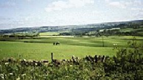 Picture of countryside around Grange Caravan Club Site - Photograph of countryside surrounding Durham Grange Caravan Club Site, Durham