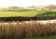 Thorney (2)
