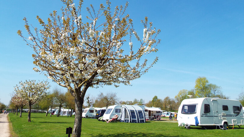 Touring holidays in Ross-on-Wye