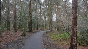 Harrogate Link Path through The Pinewoods  (© © Copyright N Chadwick (https://www.geograph.org.uk/profile/3101) and licensed for reuse (http://www.geograph.org.uk/reuse.php?id=4812998) under this Creative Commons Licence (https://creativecommons.org/licenses/by-sa/2.0/).)