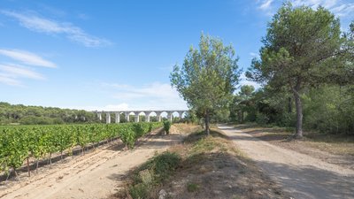 Aqueduc de Castries, Hérault (© By Christian Ferrer (Own work) [CC BY-SA 3.0 (http://creativecommons.org/licenses/by-sa/3.0)], via Wikimedia Commons (original photo: https://commons.wikimedia.org/wiki/File:Aqueduc_de_Castries,_H%C3%A9rault_01.jpg))