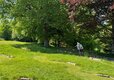Smytham Holiday Park