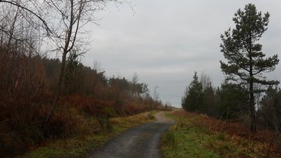 The Cleveland Way in Guisborough Woods  (© © Copyright Anthony Foster (https://www.geograph.org.uk/profile/28839) and licensed for reuse (http://www.geograph.org.uk/reuse.php?id=5662092) under this Creative Commons Licence (https://creativecommons.org/licenses/by-sa/2.0/).)