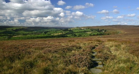 Wild Slack Farm (Certificated Location), Whitby, North Yorkshire