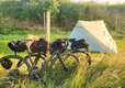Go Wild Thetford Camping in Norfolk