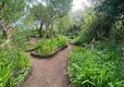 Little Trevothan - Nature Trail 5