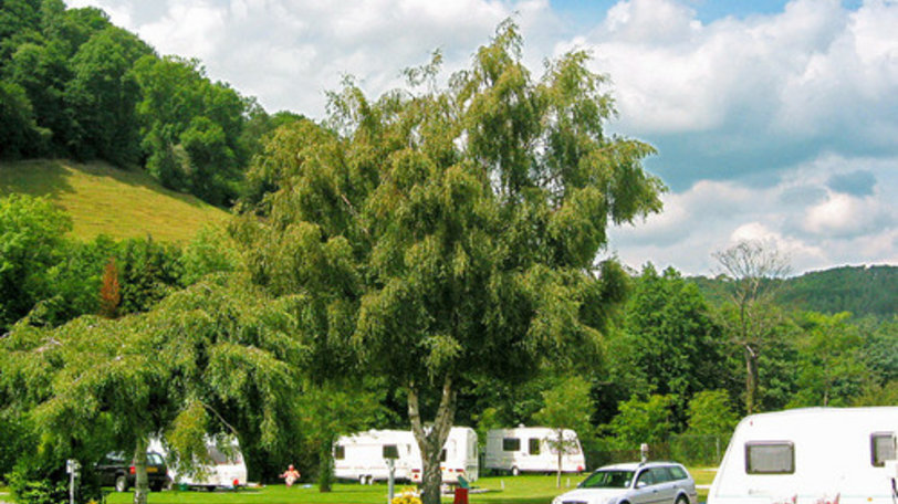 Picture of Smithy Caravan Park, Powys, Wales