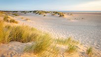 things to do in Norfolk - beach near wells next the sea