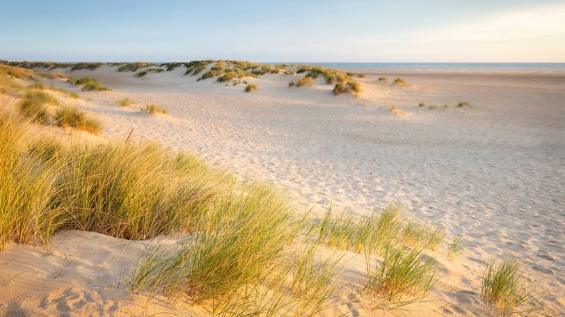 things to do in Norfolk - beach near wells next the sea