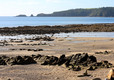 Mill House Caravan Park, Pembrokeshire