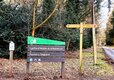 4-Lynford Arboretum-2