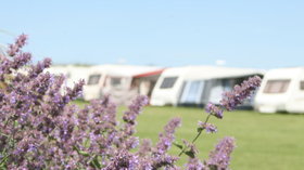 Picture of Carnevas Farm Holiday Park, Cornwall, South West England