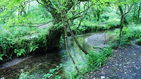 The River Cober near Helston  (© © Copyright Bill Boaden (https://www.geograph.org.uk/profile/42541) and licensed for reuse (https://www.geograph.org.uk/reuse.php?id=4240398) under this Creative Commons Licence (https://creativecommons.org/licenses/by-sa/2.0/).)